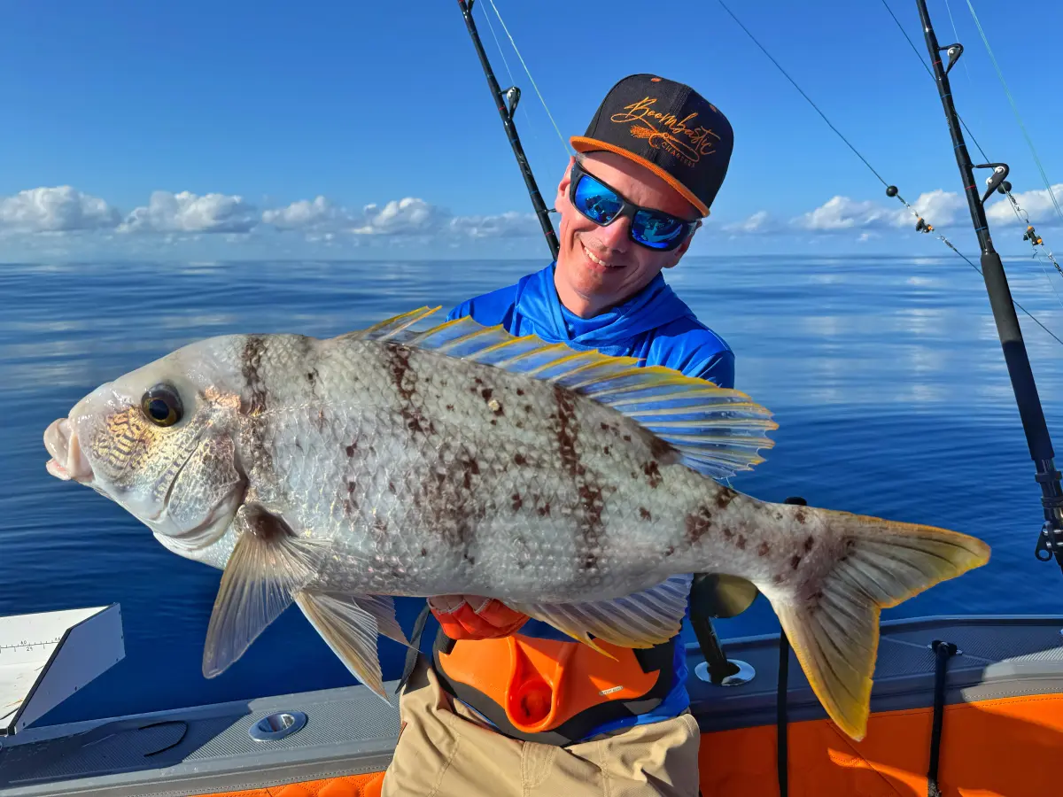 Тур Big Game Mahe Plato 8h