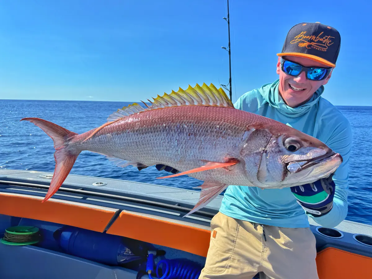 Тур Big Game Mahe Plato 8h